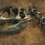 Dinosaurskelet som relief i sten