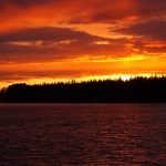 Orange solnedgang over sø og skov