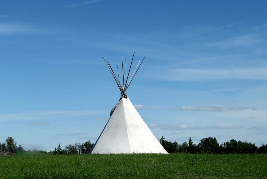 Hvid tipi på grøn eng